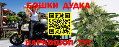 прущие крисы Нальчик